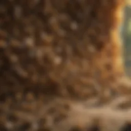 A vibrant bee colony thriving in a hive
