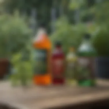 Close-up of various herbicide bottles arranged on a garden table