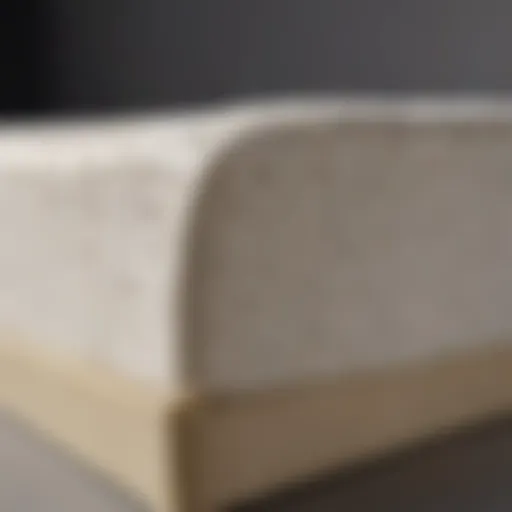 Latex mattress showcasing its unique support structure