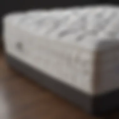 Comparison chart of mattress types focusing on back pain relief