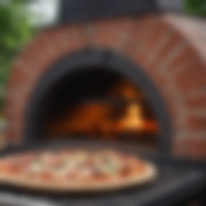 Perfectly cooked pizza inside a gas-fired outdoor oven