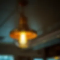 Elegant diner light fixture showcasing a vintage design