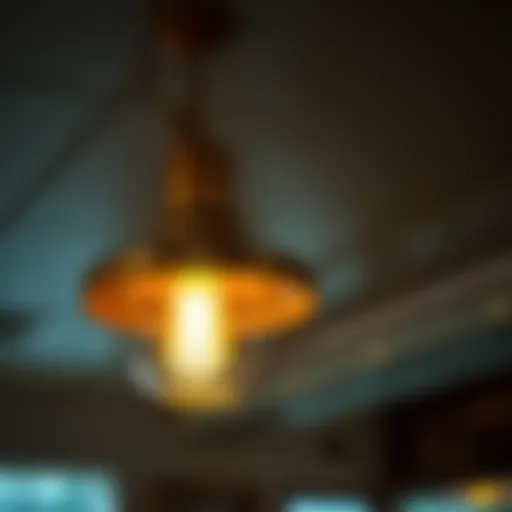 Elegant diner light fixture showcasing a vintage design