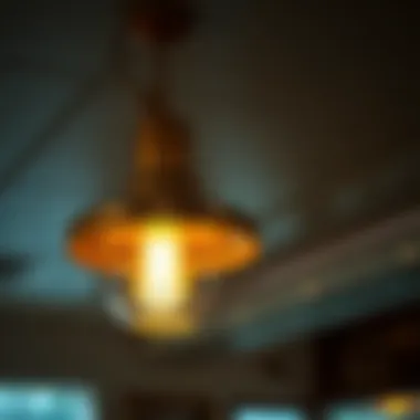 Vintage Elegance in Diner Lighting Elegant diner light fixture showcasing a vintage design