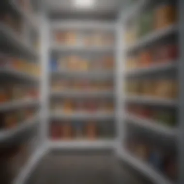 Shelves filled with labeled storage containers in fridge