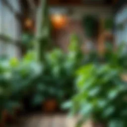 Exploring Green Bean Companion Plants: A Comprehensive Guide Introduction