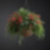 Vibrant assortment of ornamental plants in a hanging basket