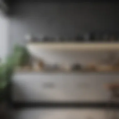 Minimalist Kitchen with Monochrome Color Palette