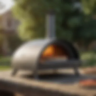 Compact and Portable Pizza Oven