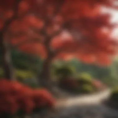 Landscape Harmony with Japanese Maples Landscape design featuring red Japanese maples