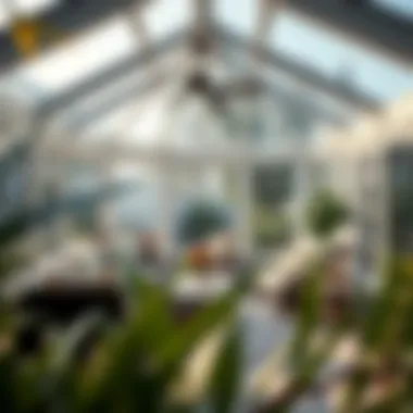 Notable Exploring Sunroom Designs: A Visual Guide Notable Exploring Sunroom Designs: A Visual Guide