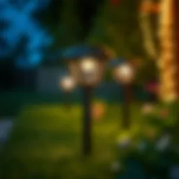 Exploring the Best Solar Garden Lights Introduction