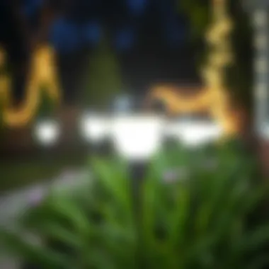 Exploring the Best Solar Garden Lights Summary
