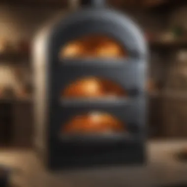 Diverse types of indoor pizza ovens showcased