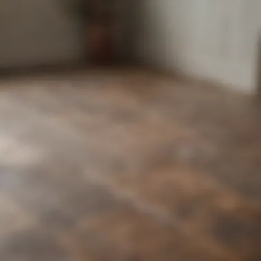 Rustic Resilience Farmhouse Floor Tile with Distressed Wood Look