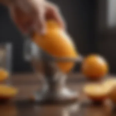 Elegant Citrus Squeezer