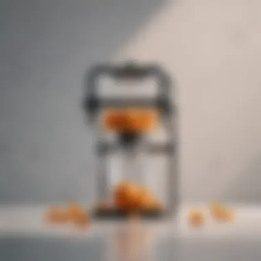 Minimalist Fruit Press Minimalist Fruit Press