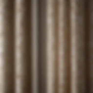 Close-up of a French door curtain showcasing intricate patterns