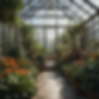 Beautiful flourishing plants in a greenhouse setting