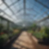 Greenhouse structure under clear blue sky