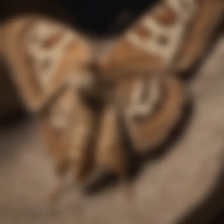 Close-up of a moth on fabric