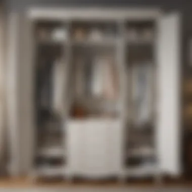 Wardrobe with Moth Repellent Organized wardrobe with moth repellent sachets