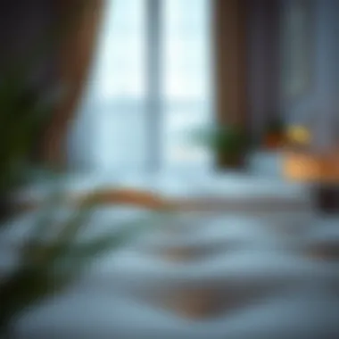 Identifying the Optimal Mattress Cover for Allergies Summary Identifying the Optimal Mattress Cover for Allergies Summary