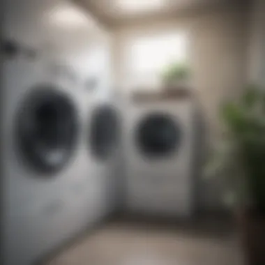 Enhancing Dryer Efficiency with Vent Cleaning Improving dryer performance through vent cleaning