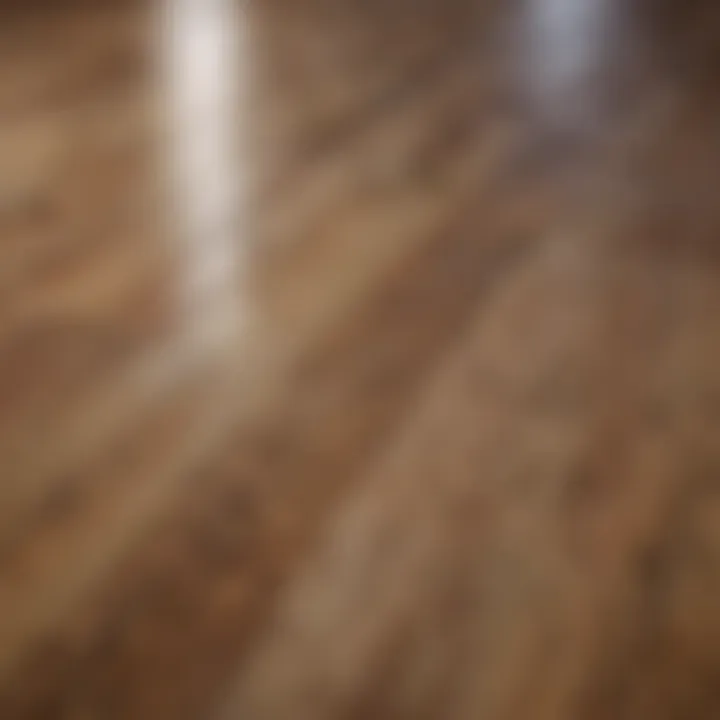 Close-up of water-resistant wood flooring