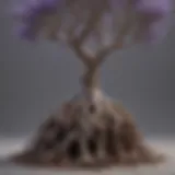 Lavender tree with intricate root system