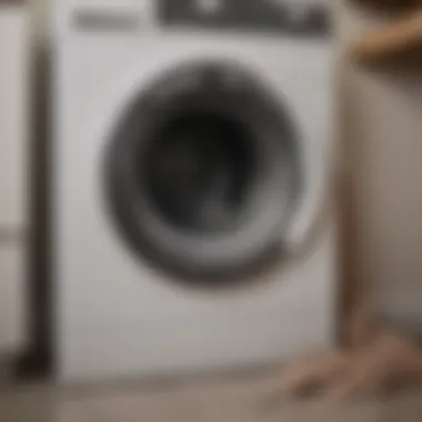 Unveiling the Dangers of Lint Buildup in Dryer Hoses Lint Buildup Fire Hazard