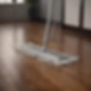 Elegant hardwood floor with mop in motion