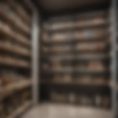 Aesthetic and Functional Pantry Elements Decorative pantry elements contributing to aesthetics and functionality
