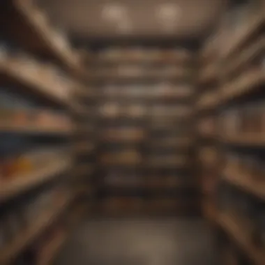 Innovative Pantry Storage Solutions Innovative storage solutions enhancing pantry space efficiency