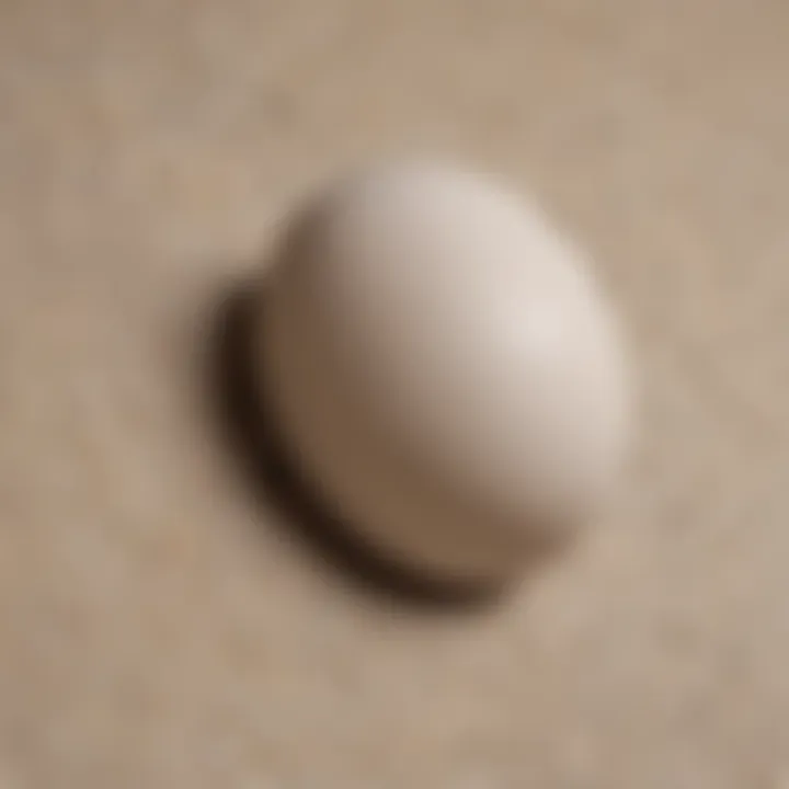 Eggshell texture close-up