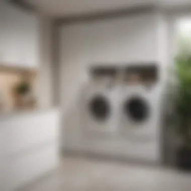 Elegant Hidden Laundry Cabinet Design Elegant Hidden Laundry Cabinet Design