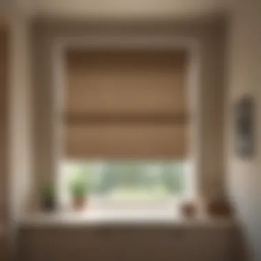 Chic and Minimalistic Roman Shades Minimalist Roman Shades