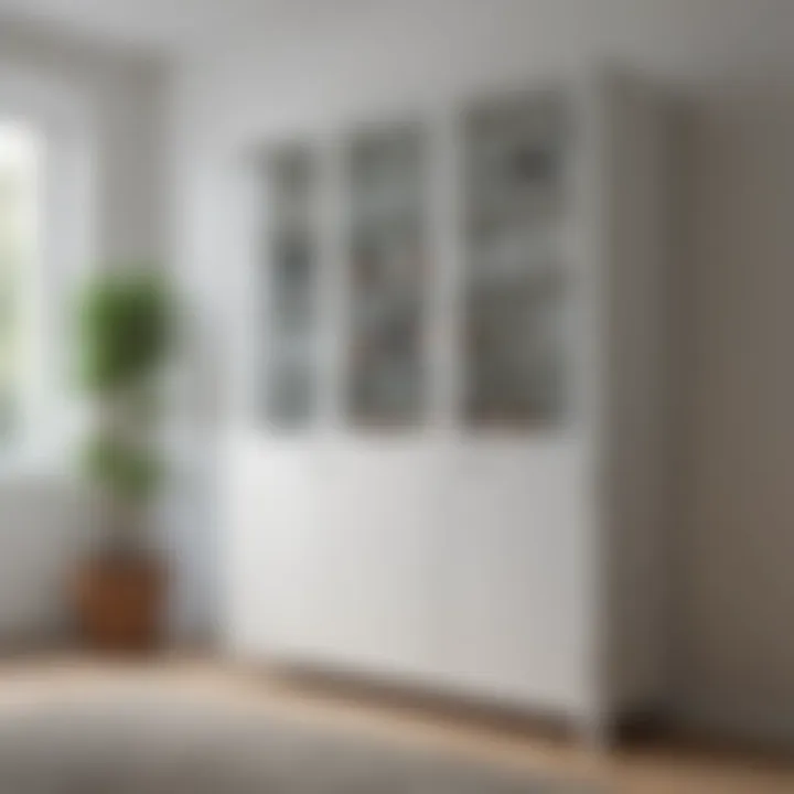 Minimalist White Cupboard with Glass Doors