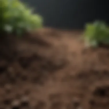 Techniques for Modifying Soil pH Infographic summarizing techniques to alter soil pH