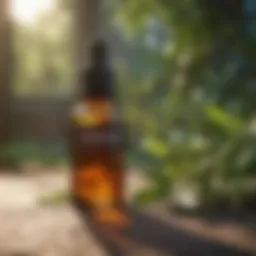 A variety of essential oils known for repelling beetles