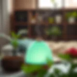 Navigating the World of Home Diffusers: An In-Depth Exploration Introduction