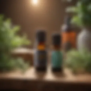 Essential Oils Bug Spray Selection