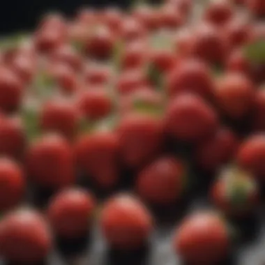 Close-up of nutrient-rich fertilizer granules for strawberries