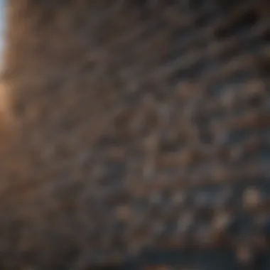 Pigeon-proofing mesh on a building