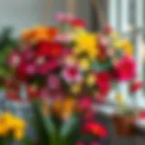 Vibrant hanging flower basket showcasing a variety of colorful blooms.