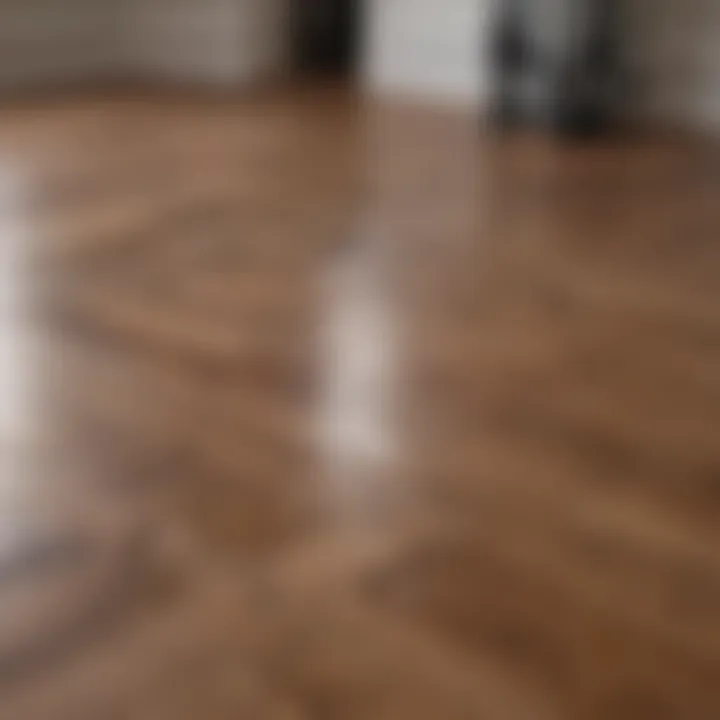 Precision application of protective coat on hardwood floor