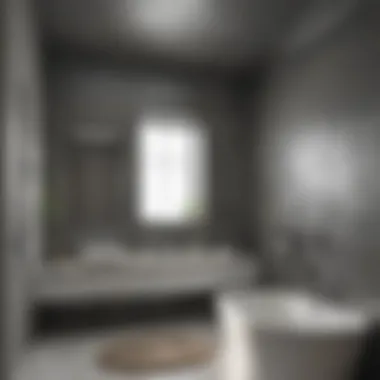 Innovative Mold-resistant Paint Application Mold-resistant paint application