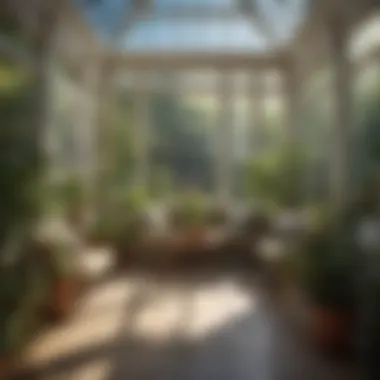 Sunlit Conservatory with Lush Botanicals