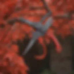 Pruning Technique for Japanese Red Maple Tree - Close-up of Pruning Shears