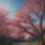 A vibrant flowering tree in full bloom showcasing its colorful blossoms under clear blue skies.